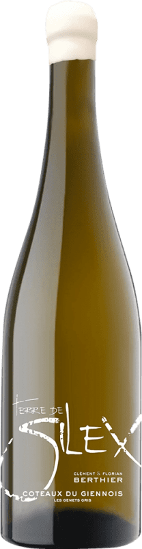 31,95 € Free Shipping | White Wine Clément et Florian Berthier Terre de Silex A.O.C. Sancerre France Sauvignon 75 cl