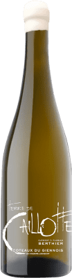 32,95 € Envio grátis | Vinho branco Clément et Florian Berthier Terre de Caillote Coteaux du Giennois França Sauvignon Branca Garrafa 75 cl