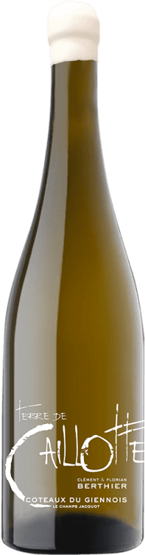 36,95 € Envío gratis | Vino blanco Clément et Florian Berthier Terre de Caillote Coteaux du Giennois Francia Sauvignon Blanca Botella 75 cl