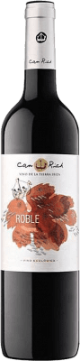 14,95 € Free Shipping | Red Wine Can Rich Selection I.G.P. Vi de la Terra de Ibiza Spain Tempranillo, Merlot, Cabernet Sauvignon Eco — Organic Bottle 75 cl