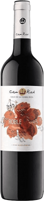 14,95 € Envoi gratuit | Vin rouge Can Rich Negre Eco Seleccio Tinto I.G.P. Vi de la Terra de Ibiza Espagne Tempranillo, Merlot, Cabernet Sauvignon Bouteille 75 cl