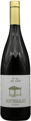 21,95 € Spedizione Gratuita | Vino bianco Sacristía AB Sombrajo Viña Pago la Cruz I.G.P. Vino de la Tierra de Cádiz Sanlúcar de Barrameda Spagna Palomino Fino Bottiglia 75 cl