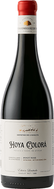 54,95 € Envío gratis | Vino tinto Pepe Rodríguez de Vera Dominio de Casalta Hoya Colorá Crianza D.O. Almansa España Pinot Negro Botella 75 cl