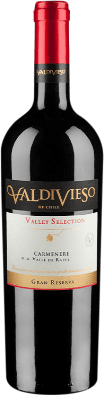 17,95 € 送料無料 | 赤ワイン Valdivieso Valley セレクション I.G. Valle de Rapel ラパルバレー チリ Carmenère — カルメネール 75 cl