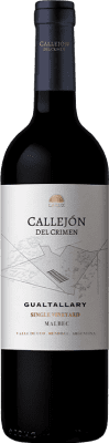 39,95 € Free Shipping | Red wine Pagos de Valcerracín Callejón del Crimen Single Vineyard I.G. Gualtallary Uco Valley Argentina Malbec Bottle 75 cl