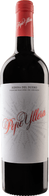 13,95 € Бесплатная доставка | Красное вино Yllera D.O. Ribera del Duero Кастилия-Леон Испания Tempranillo, Merlot, Cabernet Sauvignon бутылка 75 cl