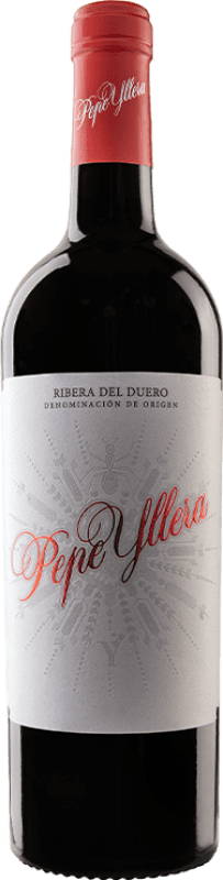 13,95 € Бесплатная доставка | Красное вино Yllera D.O. Ribera del Duero Кастилия-Леон Испания Tempranillo, Merlot, Cabernet Sauvignon бутылка 75 cl