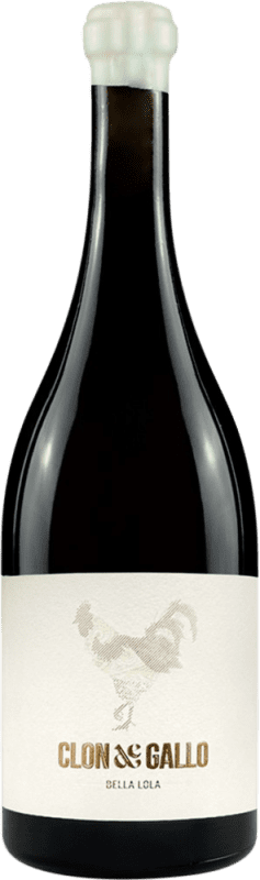 29,95 € Kostenloser Versand | Weißwein D.O. Rueda Kastilien und León Spanien Verdejo Flasche 75 cl