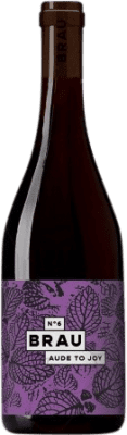 14,95 € Envio grátis | Vinho tinto Domaine de Brau Nº 6 Aude to Joy Jovem França Syrah Garrafa 75 cl