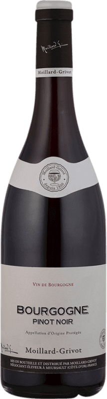 63,95 € 送料無料 | 赤ワイン Moillard Grivot 高齢者 A.O.C. Bourgogne ブルゴーニュ フランス Pinot Black マグナムボトル 1,5 L