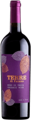 9,95 € Бесплатная доставка | Красное вино Terre di Faiano Молодой I.G.T. Puglia Апулия Италия Nero di Troia бутылка 75 cl