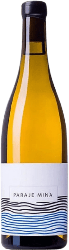 28,95 € 送料無料 | 白ワイン Nanclares Mina Vino de Paraje — 単一畑ワイン スペイン Albariño — アルバリーニョ 75 cl