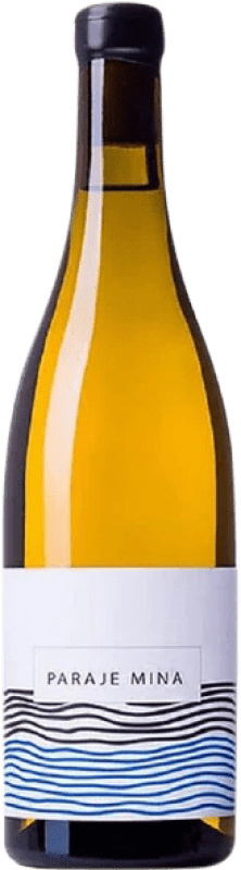 24,95 € Kostenloser Versand | Weißwein Nanclares Paraje de Mina Spanien Albariño Flasche 75 cl