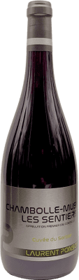 Laurent Ponsot Les Sentiers Sorbier Pinot Noir — Spätburgunder Cuvée 75 cl