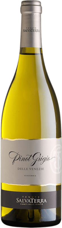 8,95 € Free Shipping | White wine Salvaterra I.G.T. Delle Venezie Italy Pinot Grey Bottle 75 cl