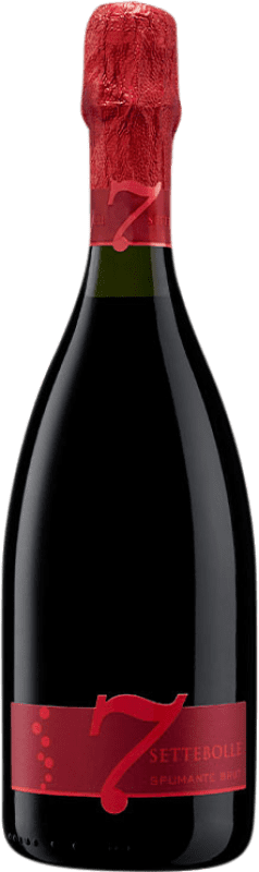 9,95 € Envío gratis | Espumoso tinto Settecani 7 Bolle Rosso D.O.C. Lambrusco Grasparossa di Castelvetro Italia Lambrusco Grasparossa Botella 75 cl