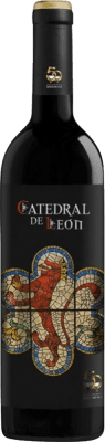 2,95 € Бесплатная доставка | Красное вино Catedral de León Кастилия-Леон Испания 75 cl