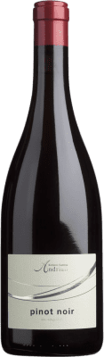 26,95 € 送料無料 | 赤ワイン Cantina Andrian D.O.C. Südtirol Alto Adige Tirol del Sur イタリア Pinot Black ボトル 75 cl