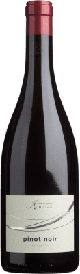 25,95 € Free Shipping | Red Wine Cantina Andrian D.O.C. Südtirol Alto Adige Tirol del Sur Italy Pinot Noir Bottle 75 cl