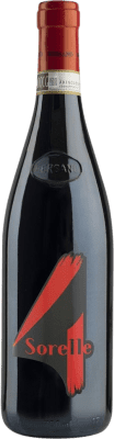 19,95 € Free Shipping | Red Wine Bersano 4 Sorelle D.O.C. Piedmont Piemonte Italy Barbera 75 cl
