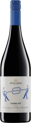 8,95 € 送料無料 | 赤ワイン Colli del Soligo D.O.C. Piave Venecia イタリア Merlot ボトル 75 cl