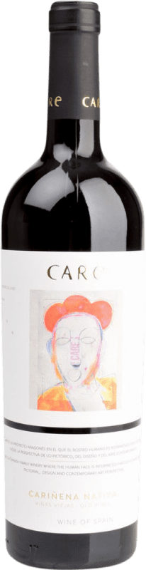 12,95 € Free Shipping | Red wine Care Nativa D.O. Cariñena Aragon Spain Carignan Bottle 75 cl