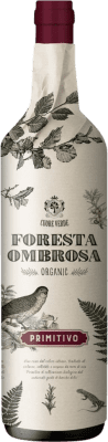 14,95 € Envoi gratuit | Vin Rouge Botter Carlo Cuore Verde Foresta Ombrosa I.G.T. Puglia Pouilles Italie Primitivo Eco — Biologique 75 cl
