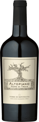 12,95 € 免费送货 | 红酒 Botter Carlo Terre di Montelusa Altopiano I.G.T. Puglia 普利亚大区 意大利 Nero di Troia 瓶子 75 cl