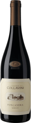 15,95 € Envoi gratuit | Vin rouge Collavini Poncanera I.G.T. Friuli-Venezia Giulia Vénétie Italie Merlot Bouteille 75 cl