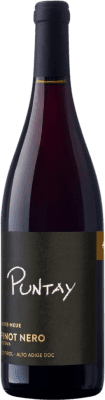 19,95 € Kostenloser Versand | Rotwein Erste Neue Puntay Reserve D.O.C. Alto Adige Trentino Italien Spätburgunder Flasche 75 cl