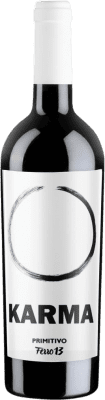 15,95 € Бесплатная доставка | Красное вино Ferro 13 Karma I.G.T. Salento Италия Primitivo бутылка 75 cl