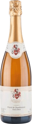 34,95 € 送料無料 | 白スパークリングワイン Freiherr von Gleichenstein Badischer Pinot & Chardonnay Sekt エキストラブラット I.G. Baden Baden ドイツ Pinot Black, Chardonnay ボトル 75 cl