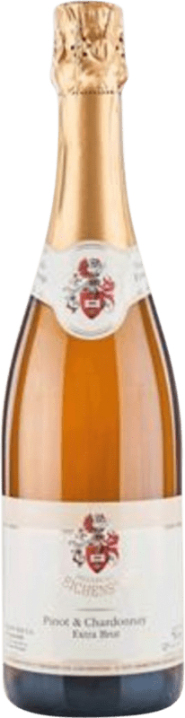 29,95 € Free Shipping | White Sparkling Wine Freiherr von Gleichenstein Badischer Pinot & Chardonnay Extra Brut I.G. Baden Baden Germany Pinot Noir, Chardonnay Bottle 75 cl