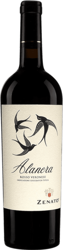 45,95 € Envoi gratuit | Vin Fortifié Giacomo Borgogno Chinato D.O.C.G. Barolo Piémont Italie Nebbiolo Bouteille Medium 50 cl