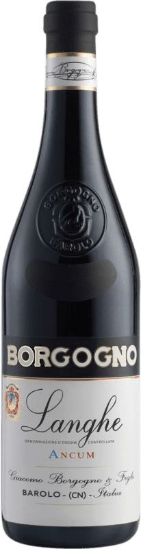 34,95 € Spedizione Gratuita | Vino rosso Giacomo Borgogno Ancum D.O.C. Langhe Piemonte Italia Dolcetto Bottiglia 75 cl