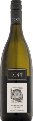 22,95 € 免费送货 | 白酒 Johann Topf Ried Hasel I.G. Kamptal 坎普谷 奥地利 Pinot White 瓶子 75 cl