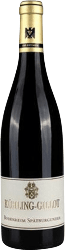 32,95 € Envío gratis | Vino tinto Kühling-Gillot Bodenheim Q.b.A. Rheinhessen Rheinhessen Alemania Pinot Negro Botella 75 cl