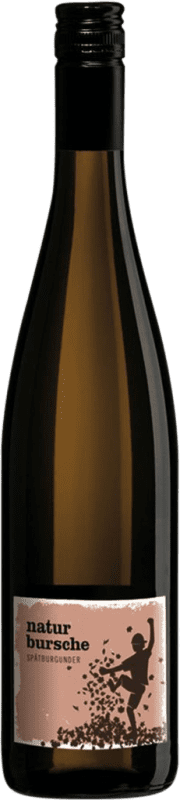 11,95 € Бесплатная доставка | Красное вино Landgraf Naturbursche Trocken — Сухое Q.b.A. Rheinhessen Rheinhessen Германия Pinot Noir — Пино Нуар Бутылка 75 cl