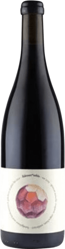 25,95 € Бесплатная доставка | Красное вино Rudolf Fidesser Orbis Natural Wine Rotwein Австрия бутылка 75 cl