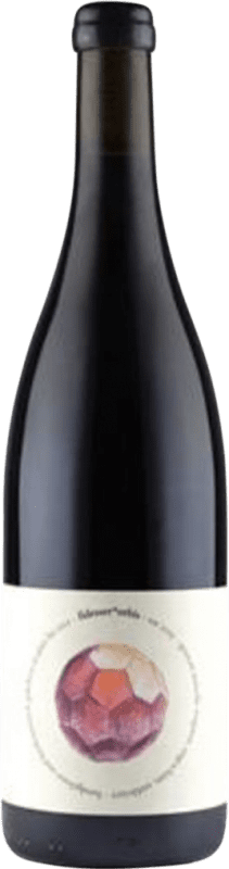 28,95 € Kostenloser Versand | Rotwein Rudolf Fidesser Orbis Natural Wine Rotwein Österreich Flasche 75 cl