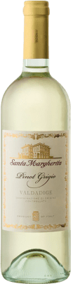 19,95 € Envío gratis | Vino blanco Santa Margherita D.O.C. Valdadige Terra dei Forti Trentino Italia Pinot Gris Botella 75 cl