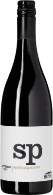 Thomas Hensel Aufwind Pinot Noir — Spätburgunder Trocken 75 cl