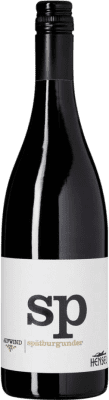 15,95 € 送料無料 | 赤ワイン Thomas Hensel Aufwind ドライ Q.b.A. Pfälz Pfälz ドイツ Pinot Black ボトル 75 cl