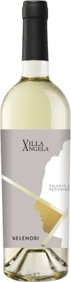 14,95 € Envoi gratuit | Vin blanc Velenosi D.O.C. Falerio Marcas Italie Pecorino Bouteille 75 cl