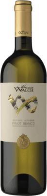 13,95 € Бесплатная доставка | Белое вино Wilhelm Walch D.O.C. Alto Adige Tirol del Sur Италия Pinot White бутылка 75 cl