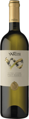 17,95 € 送料無料 | 白ワイン Wilhelm Walch D.O.C. Alto Adige Tirol del Sur イタリア Pinot Blanc — ピノ・ブラン 75 cl