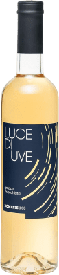 Aguardente Grappa Domenis 1898 Luce di Uve Invecchiata 50 cl