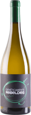 Sierra Norte Genéticamente Rebeldes Verdejo Macabeo Verdejo — 维德霍 Eco — 生态 有机 天然 75 cl