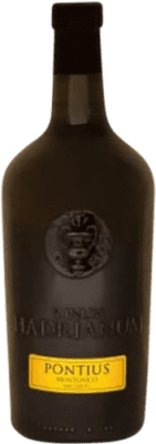 22,95 € 免费送货 | 橙酒 Hadrianum Pontius Mountain Ánfora — 双耳陶罐 I.G.T. Colli Aprutini 意大利 75 cl