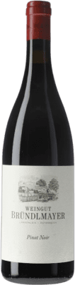 39,95 € Free Shipping | Red wine Bründlmayer I.G. Kamptal Kamptal Austria Pinot Black Bottle 75 cl